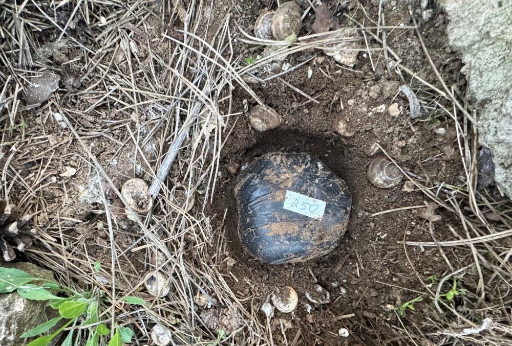 Покушение на сбыт в Евпатории